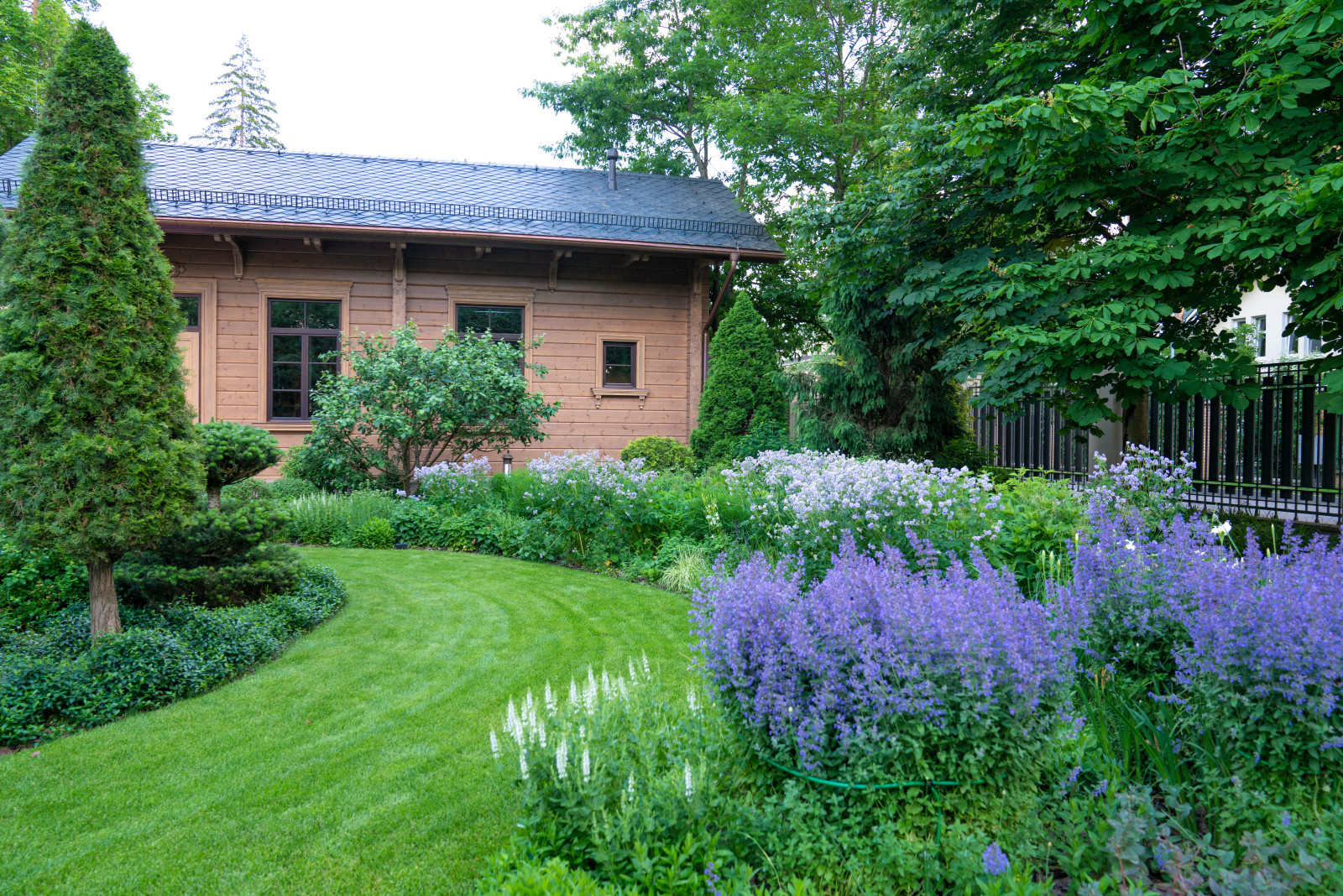 Очарование английского сада КП Балтия 2018 г