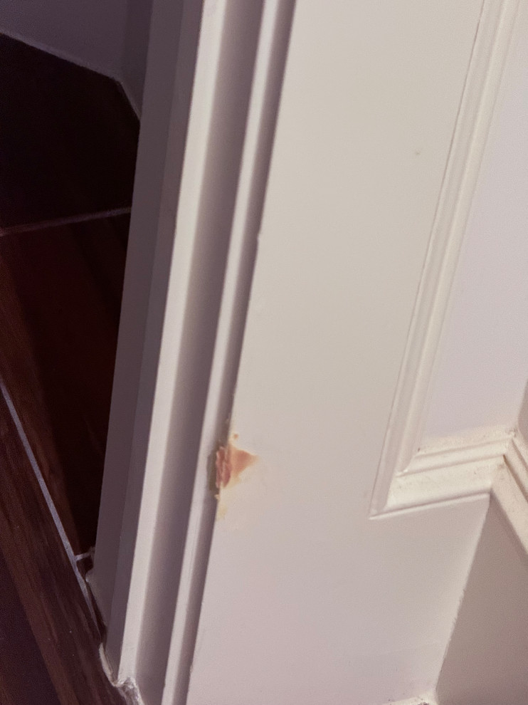 SV215 - Interior Painting