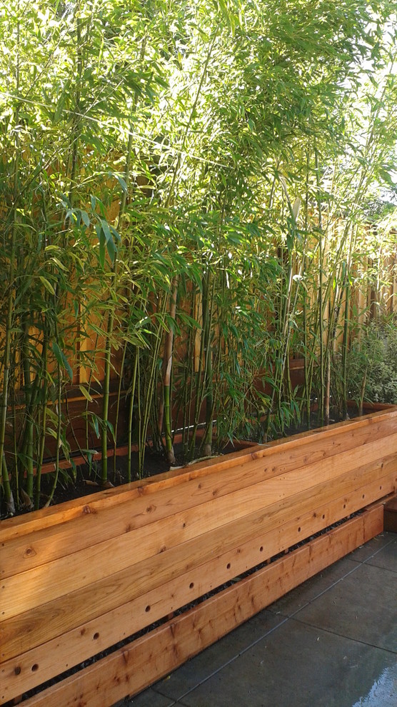 San Francisco, CA - Custom redwood bamboo planter box install - Modern ...
