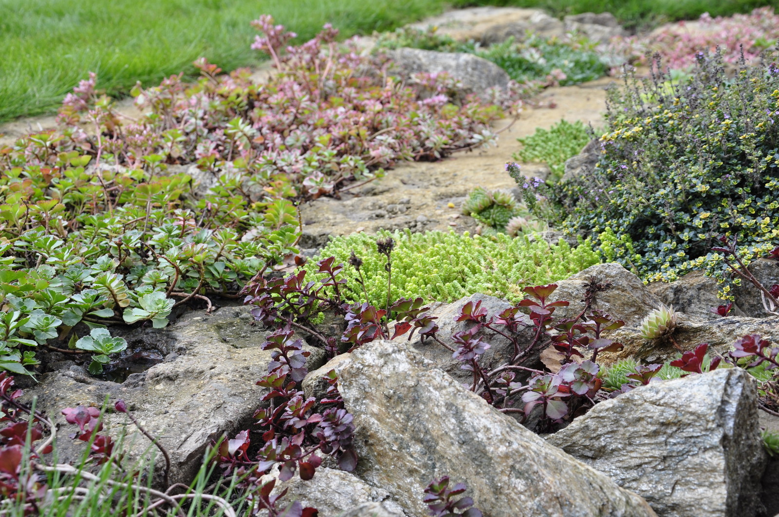 д. Коровино - Уход за садом - 100% качество