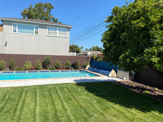 Backyard Redo contemporary-swimming-pool