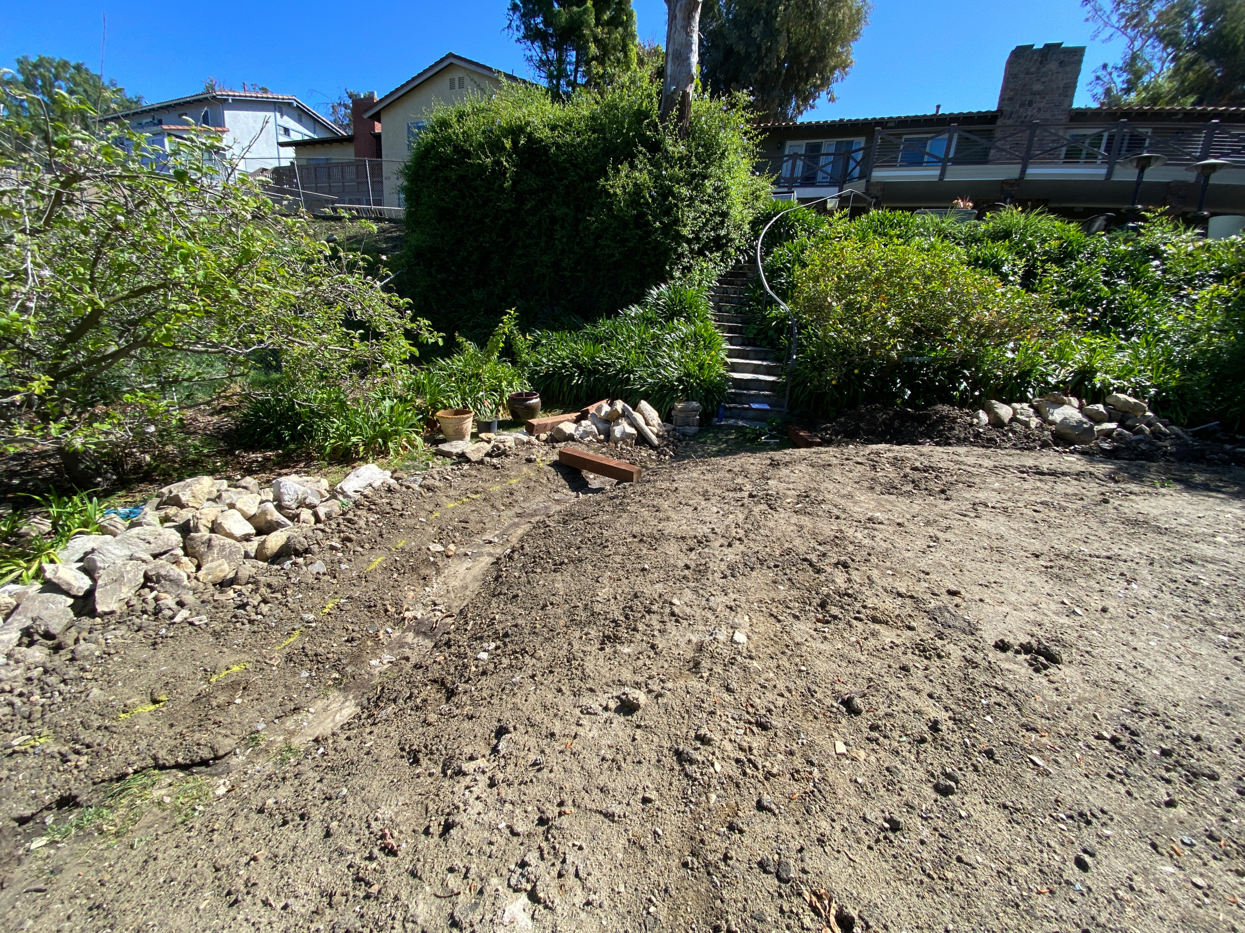 Kid-Friendly Food Forest