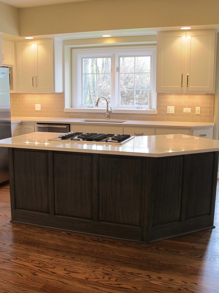 Kitchen - transitional kitchen idea in Chicago