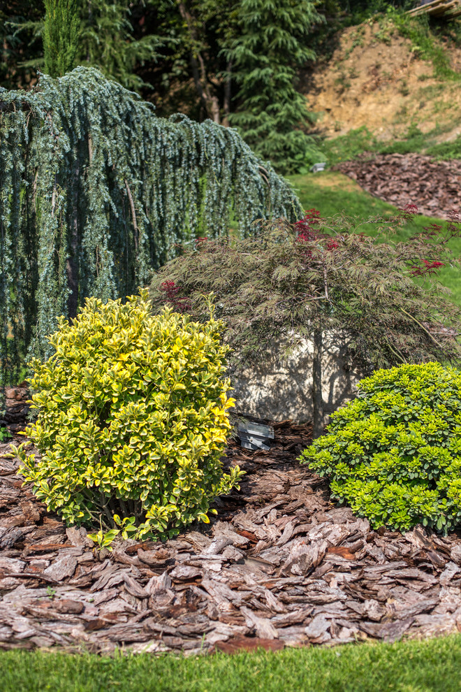 Ландшафтный Дизайн Олимпийский Сочи