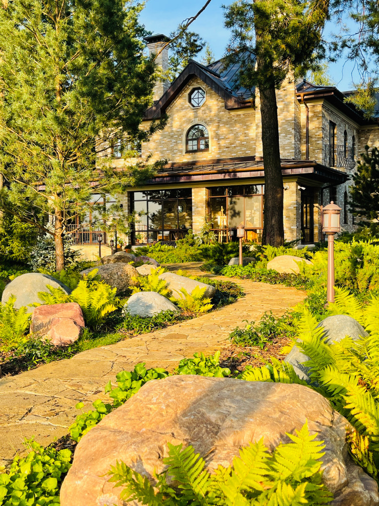 Вид на лесную зону