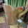 Om Movers and Packers Patna
