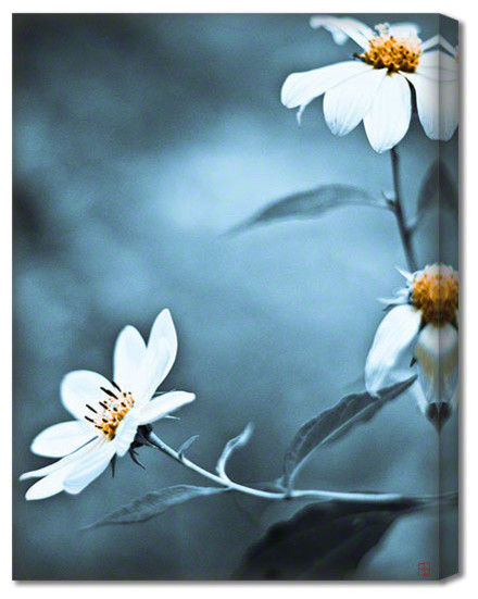 Wild Beauty II - Floral Art Canvas Print, Stone Blue, Large 30" X 40"