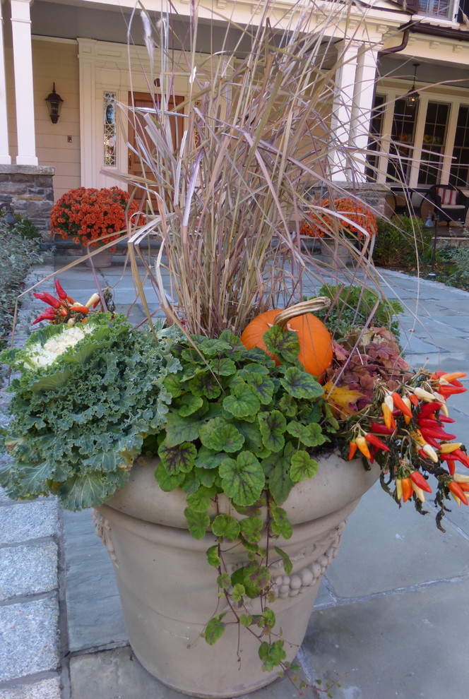 Photo of a large traditional full sun formal garden for fall in New York with a container garden.
