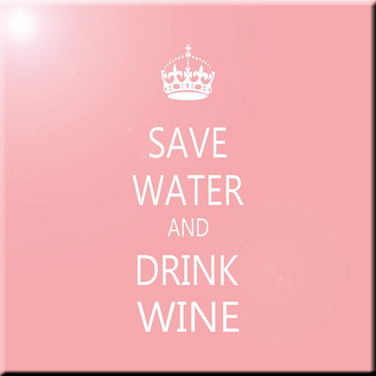 Save Water And Drink Wine Light Pink Design Ceramic Art Tile 4 25 Save Water And Drink Wine Light Pink Design Ceramic Art Tile 4 25 X Contemporary Wall Floor By Rikki Knight Llc