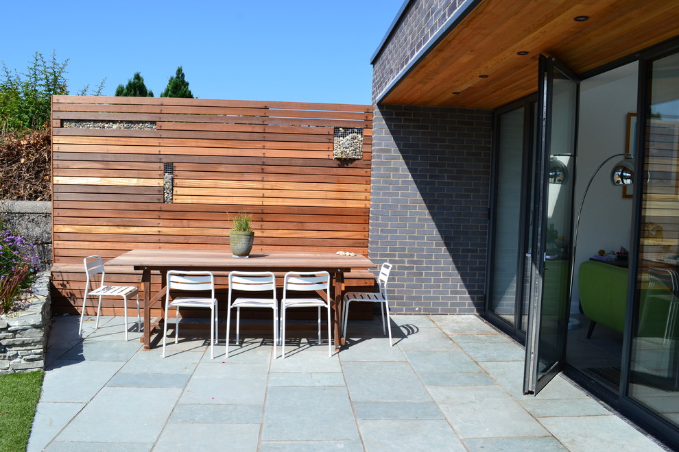 This is an example of a Medium Sized modern Back patio in Dublin With a Living Wall, a Roof Extension and Natural Stone Paving.