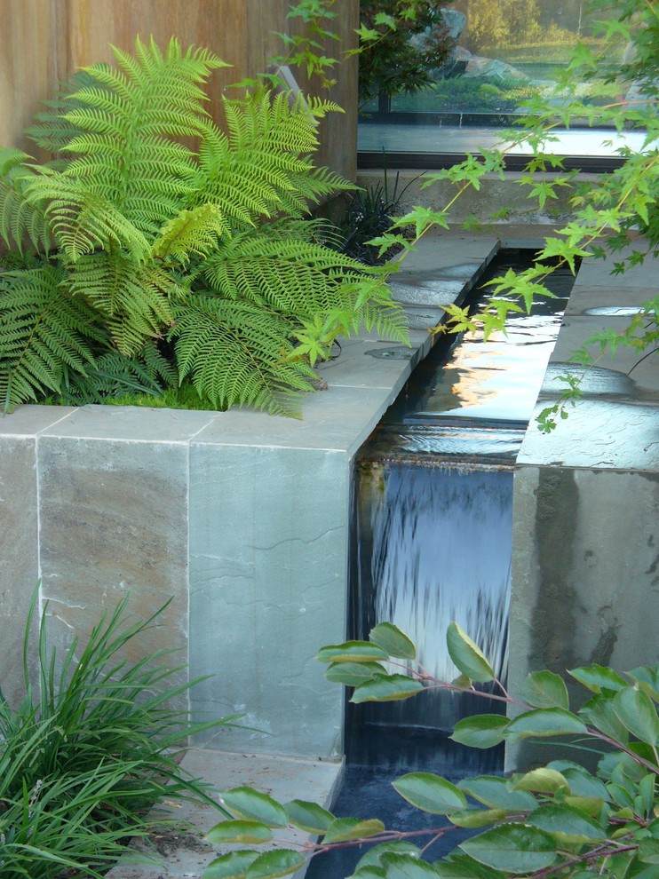 Design ideas for a small contemporary shaded garden in Sacramento with a water feature.