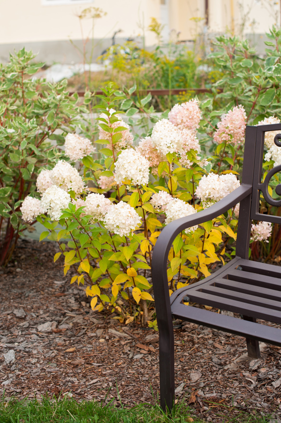 Сад На мажорной ноте