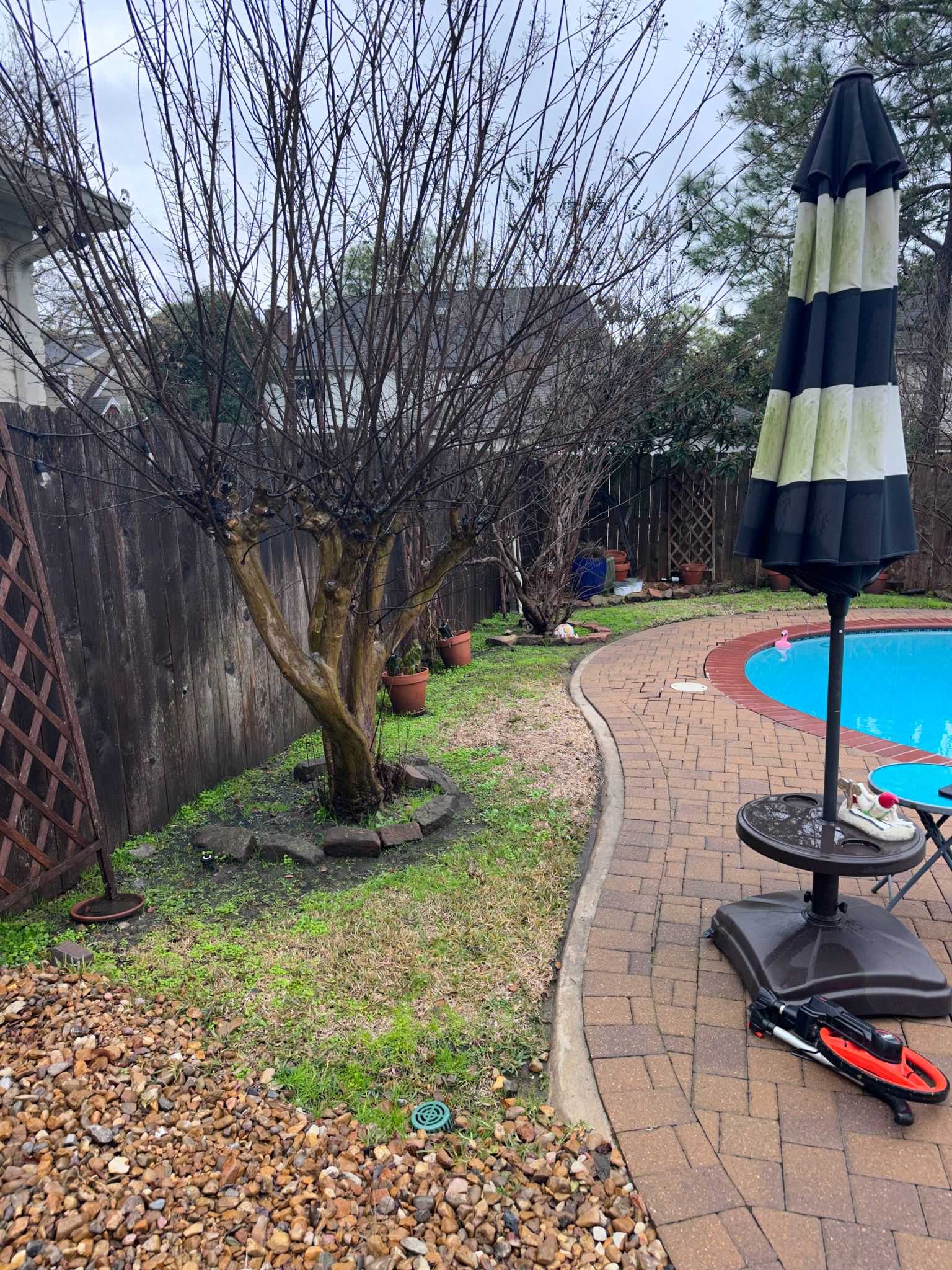 Front and Back yard makeover in Del Monte HTX