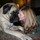 tammy_baxter3814