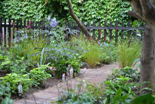 Yard of the Week: Romantic Cottage Garden in a Small Front Yard (12 photos)