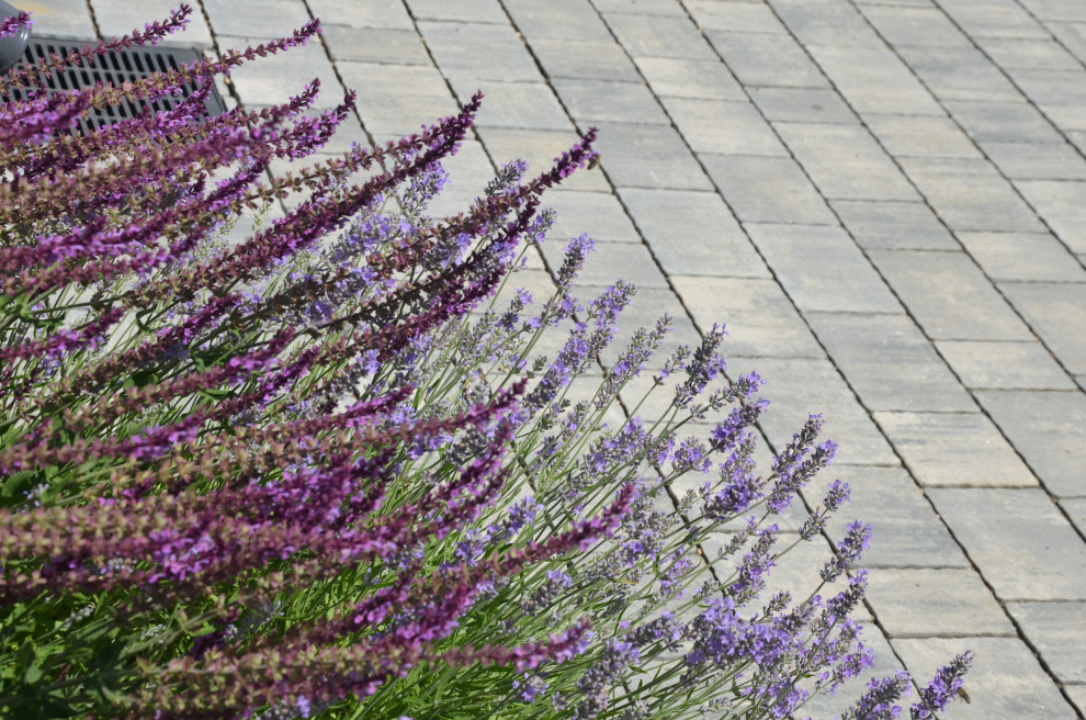 Мягкий и пушистый