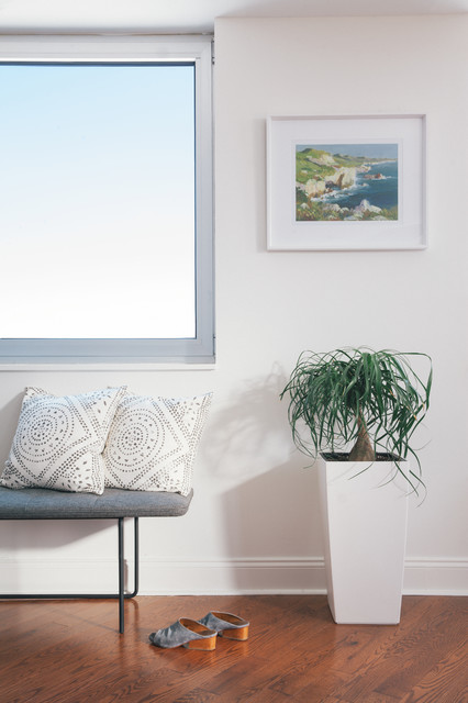 Prospect Heights moderne