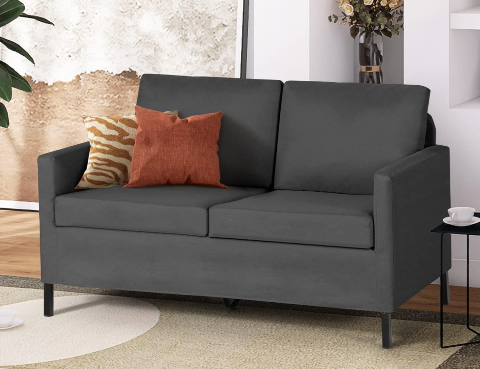 Modern Loveseat Sofa Couch for Living Room Contemporary Armchairs