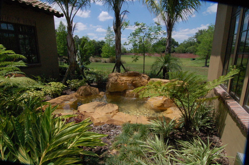 This is an example of a tropical garden in Orlando.