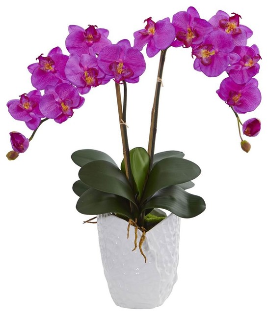 Double Mini Phalaenopsis, Black Vase