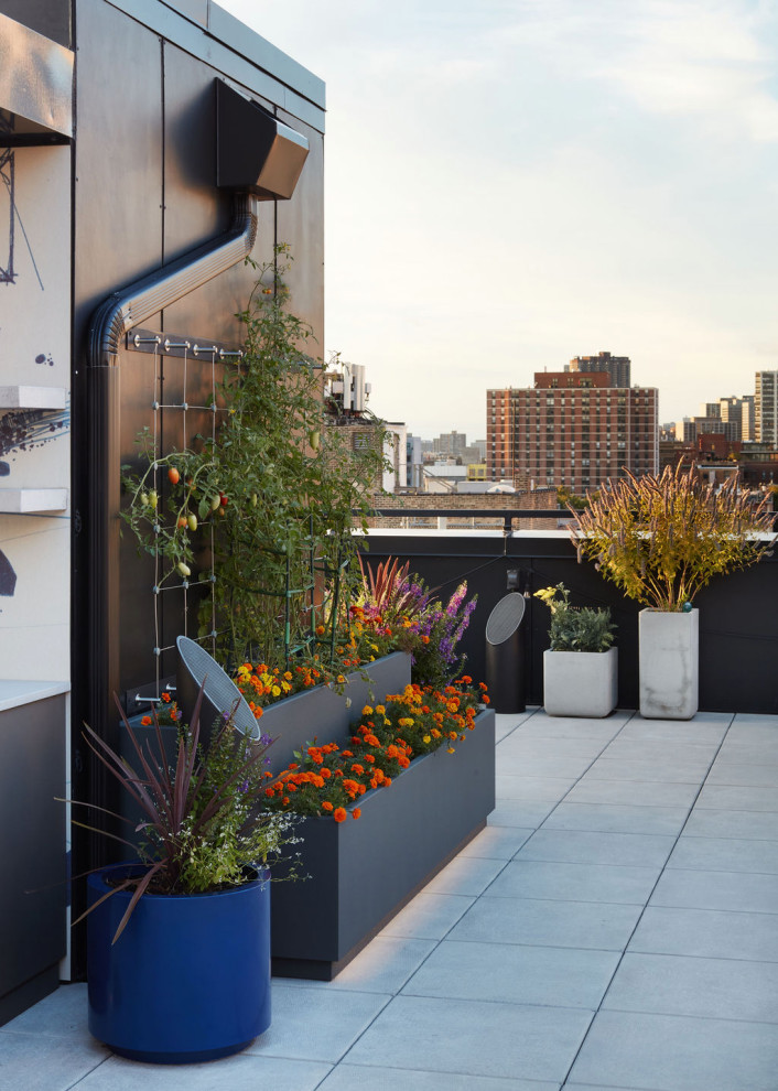 Ejemplo de terraza moderna en azotea con pérgola y jardín de macetas