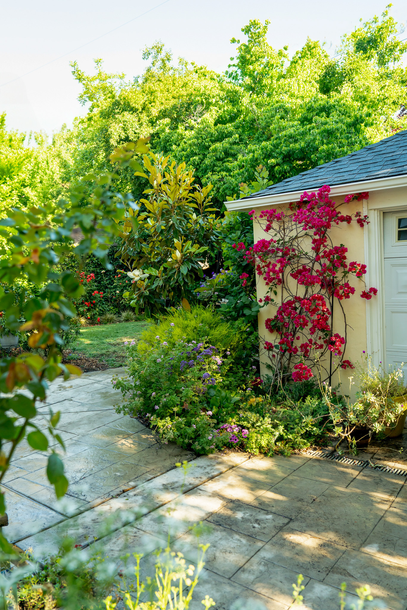 Lush Garden View with Vibrant Layered Plantings