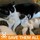 kathy_watts59