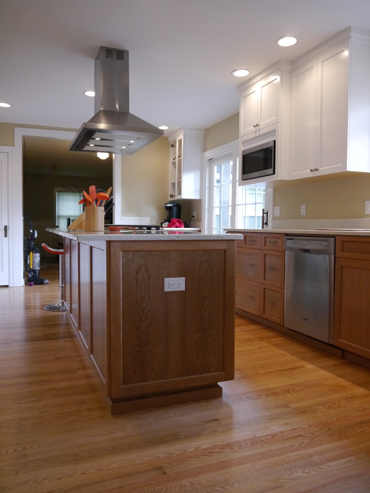 Kitchen - transitional kitchen idea in Seattle with an undermount sink, shaker cabinets, quartzite countertops, stainless steel appliances and an island