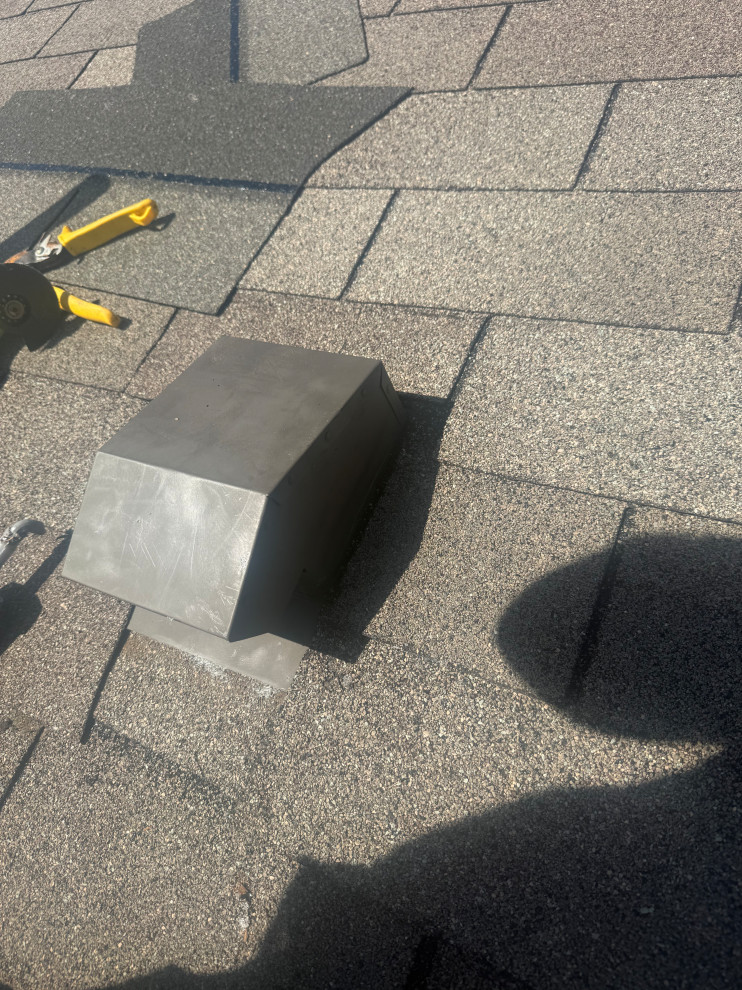 Roof Tune Up