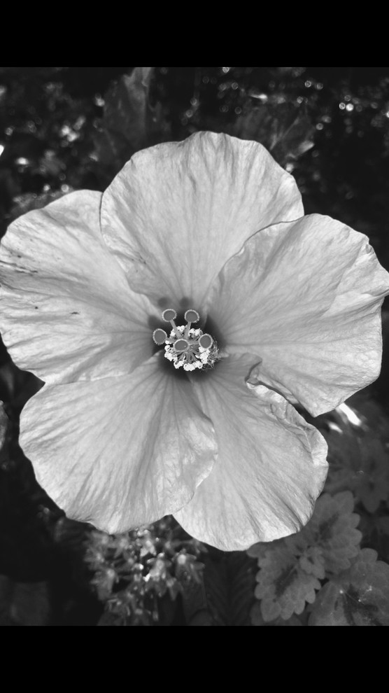 Professional Photography Portfolio