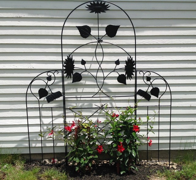 Rock Rich Sunflowers trellis with Mandevilla vine Traditional