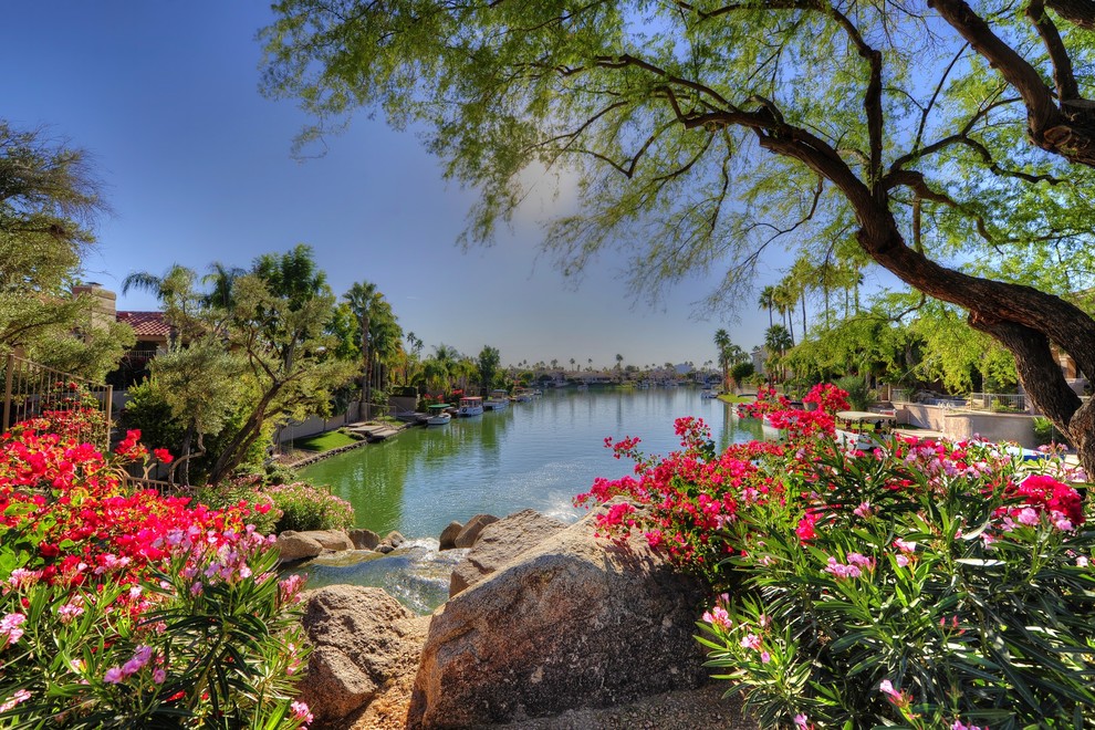 This is an example of a tropical garden in Phoenix.