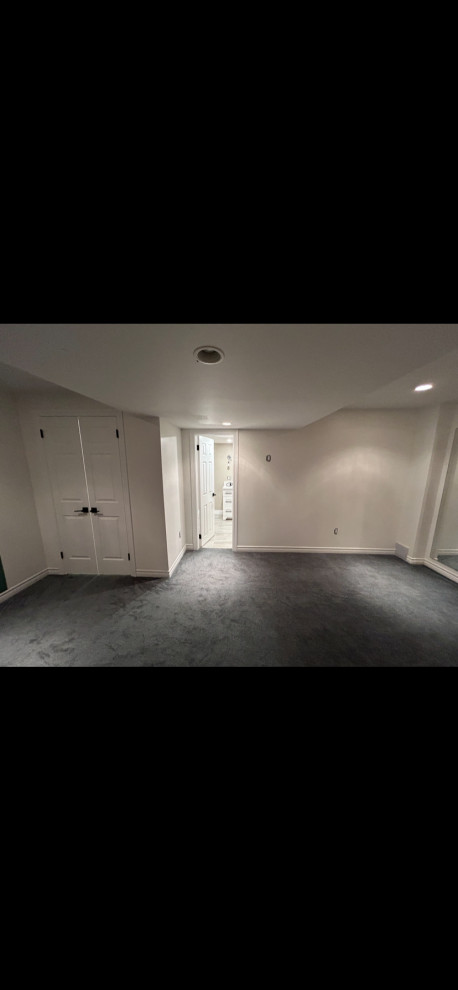 Dianne & Steven's Basement Bathroom (From Scratch)
