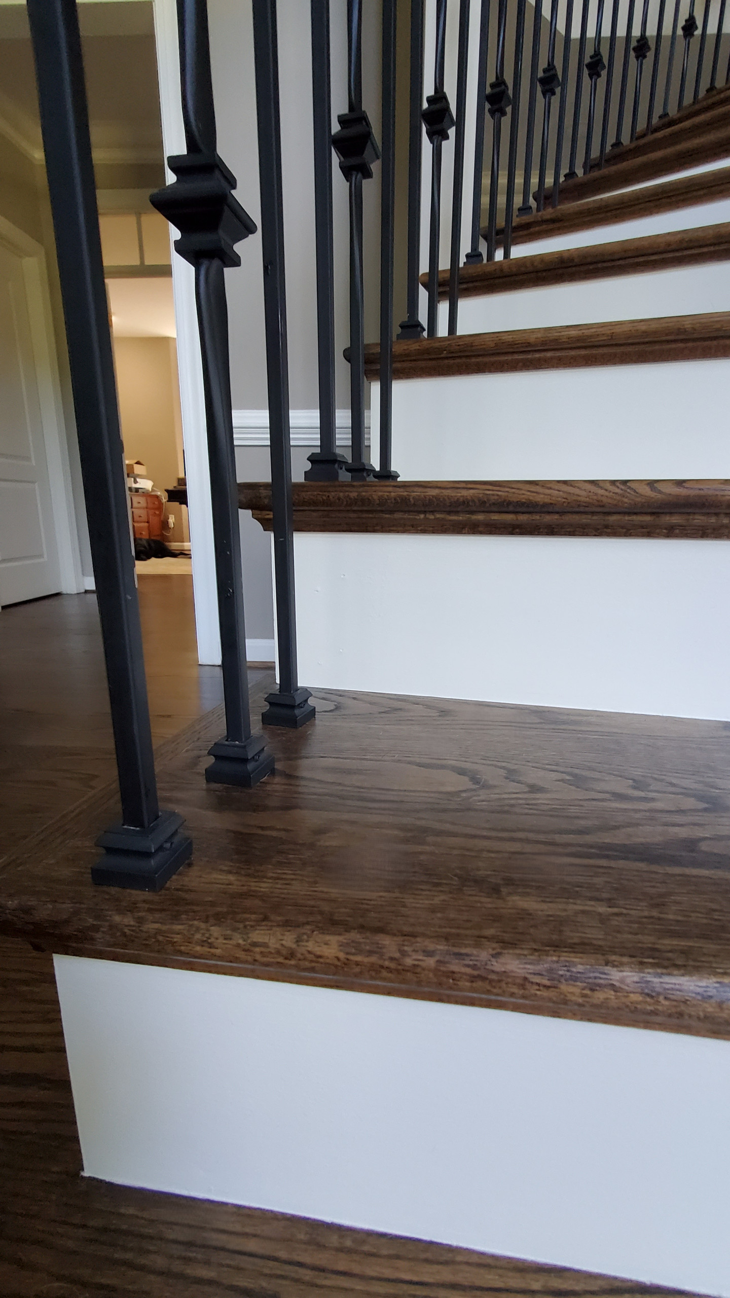 Project #157 | Traditional Curved Foyer Staircase