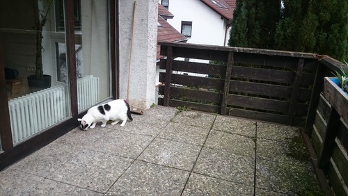 Hilfe bei der balkon gestaltung