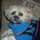 mary_lachnette