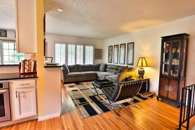 Daliah transitional-living-room
