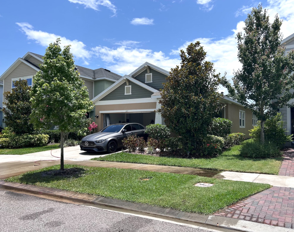 HOA Approved Tree Installation