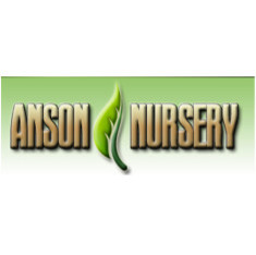 ANSON NURSERY - Project Photos &amp; Reviews - Lecanto, FL US | Houzz
