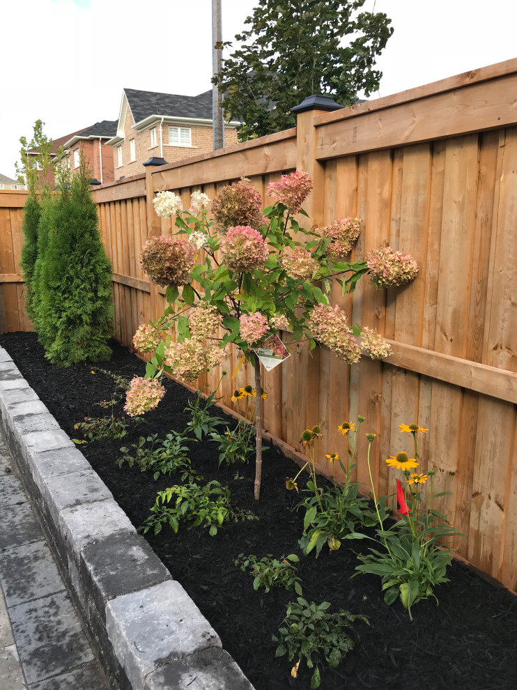 Geometrischer, Kleiner Klassischer Garten im Sommer, hinter dem Haus mit Blumenbeet, direkter Sonneneinstrahlung und Mulch in Toronto