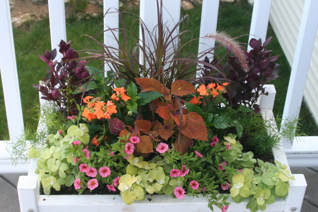 Cohan container gardens 