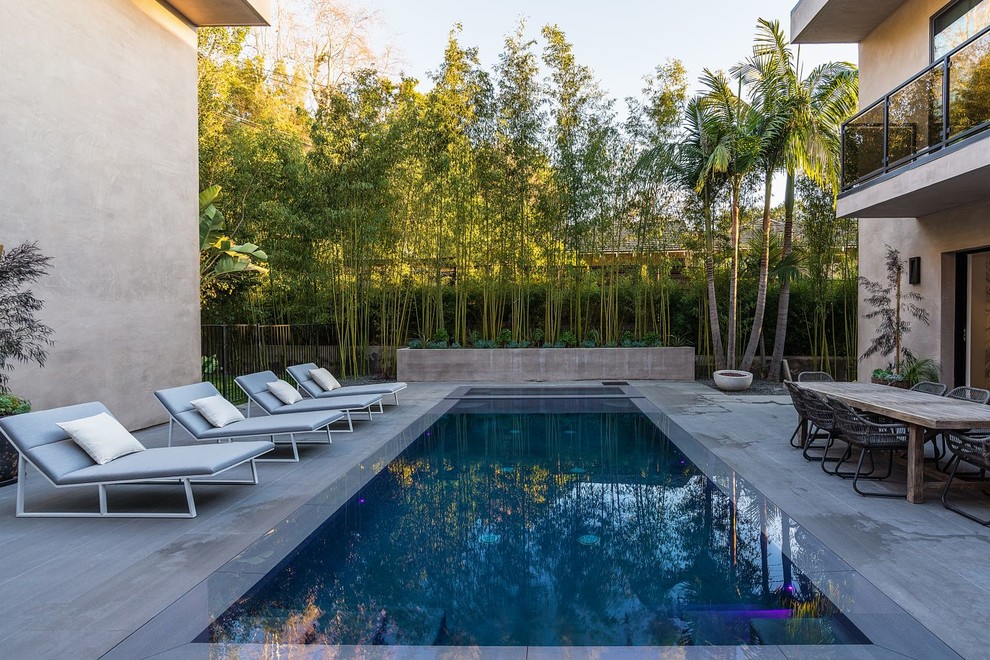 This is an example of a contemporary rectangular pool in Orange County.