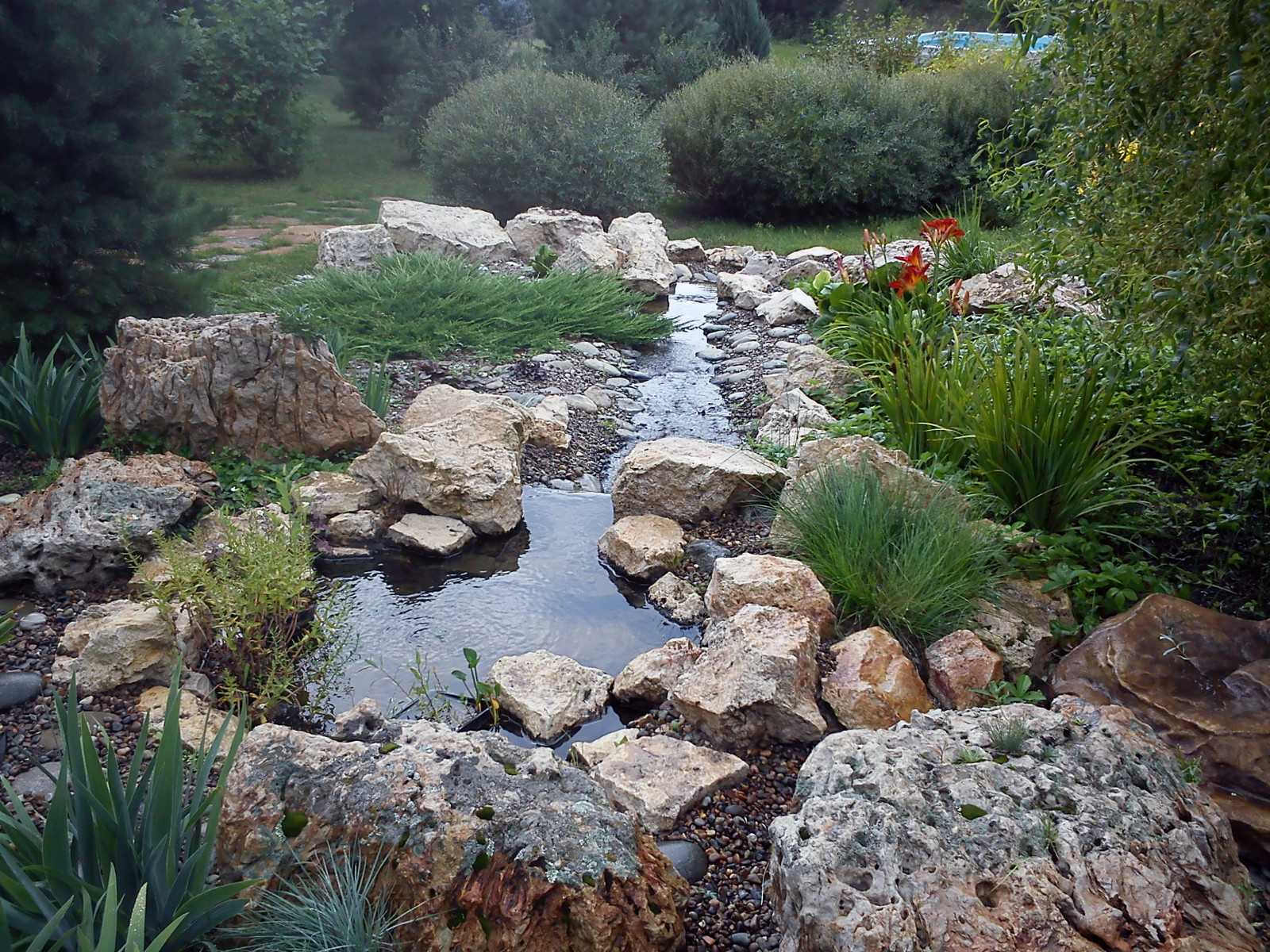 "Сад солнечного ветра"