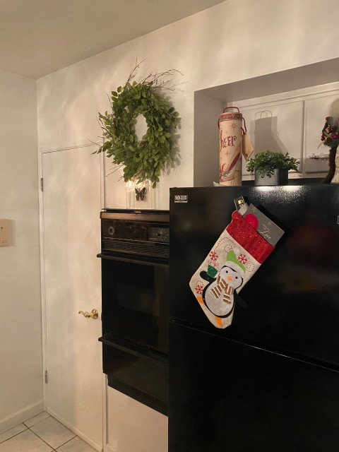 Kitchen Before transitional