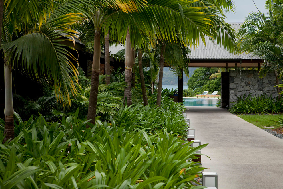 This is an example of a tropical garden in Townsville.