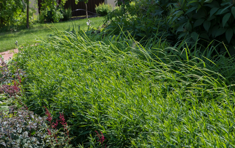 Большой сад в пригороде