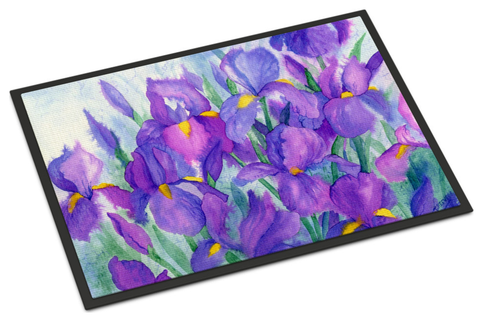Ibd0256Jmat Purple Iris Indoor Or Outdoor Mat, 24"x36", Multicolor