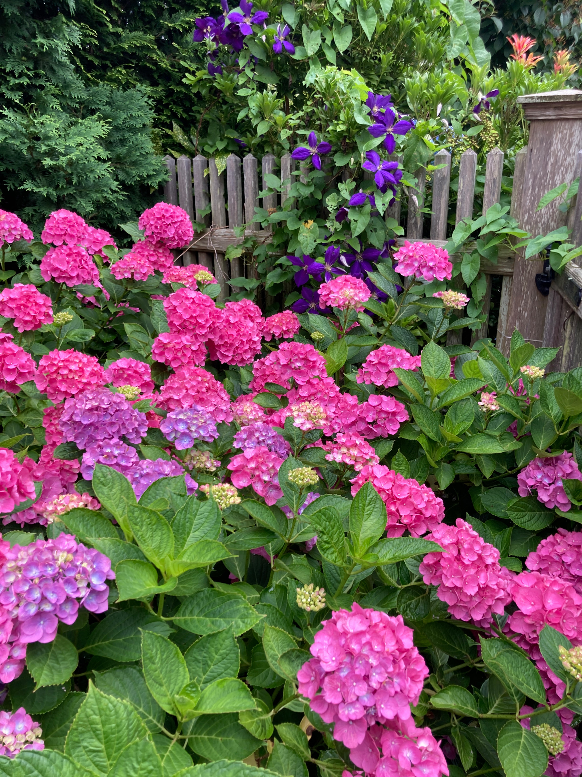 Sagaponack Garden Borders