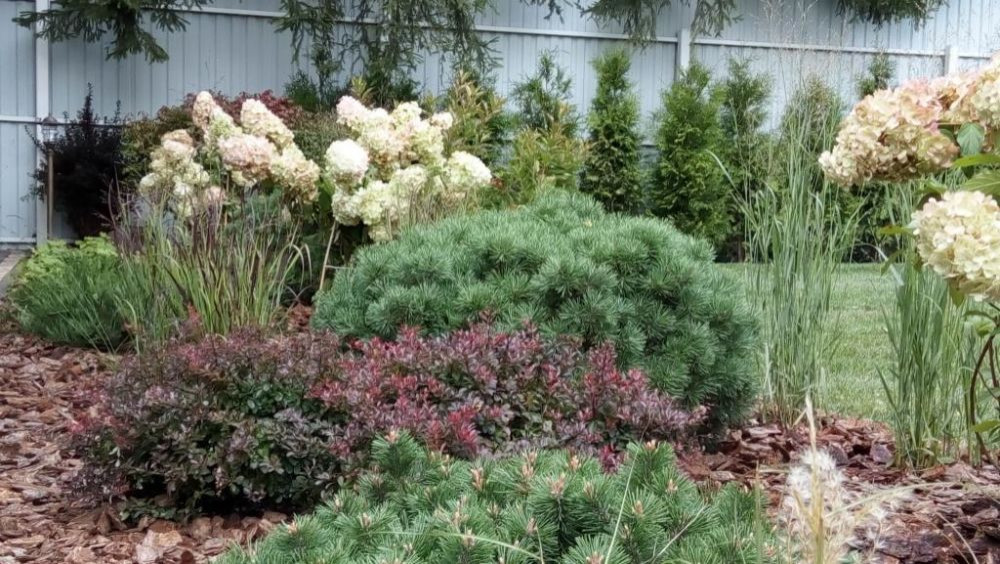 Ландшафтный дизайн небольшого участка