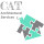 CAT Architectural Services